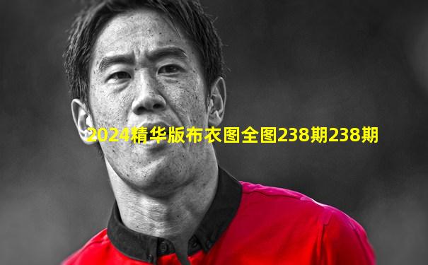 2024精华版布衣图全图238期238期