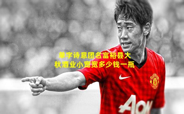 单字诗意团名富裕县大秋酒业小宽宽多少钱一瓶