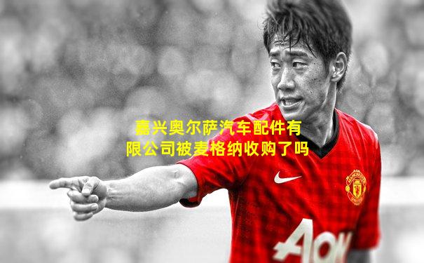 嘉兴奥尔萨汽车配件有限公司被麦格纳收购了吗