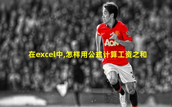 在excel中,怎样用公式计算工资之和