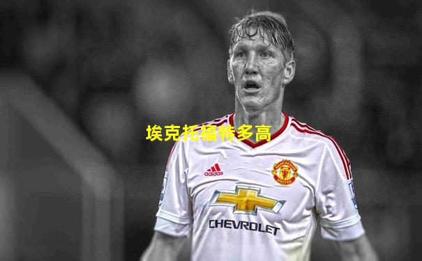埃克托福特多高