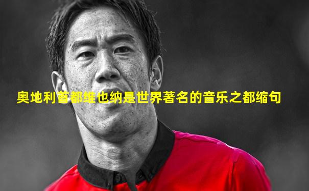 奥地利首都维也纳是世界著名的音乐之都缩句