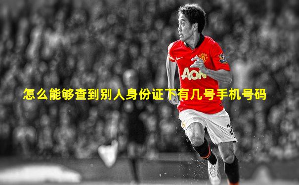 怎么能够查到别人身份证下有几号手机号码