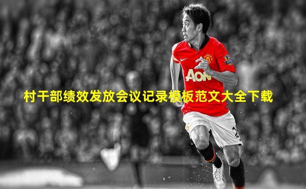 村干部绩效发放会议记录模板范文大全下载
