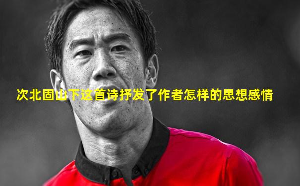 次北固山下这首诗抒发了作者怎样的思想感情