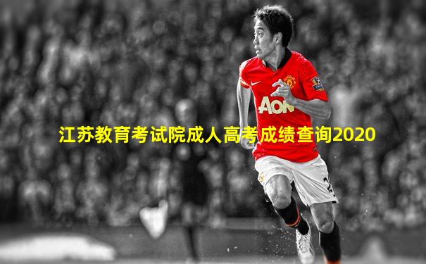 江苏教育考试院成人高考成绩查询2020