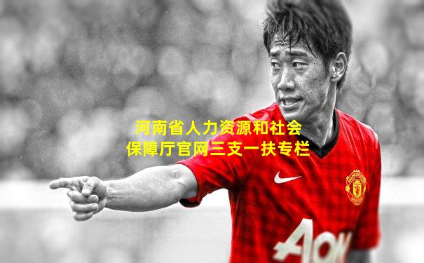河南省人力资源和社会保障厅官网三支一扶专栏