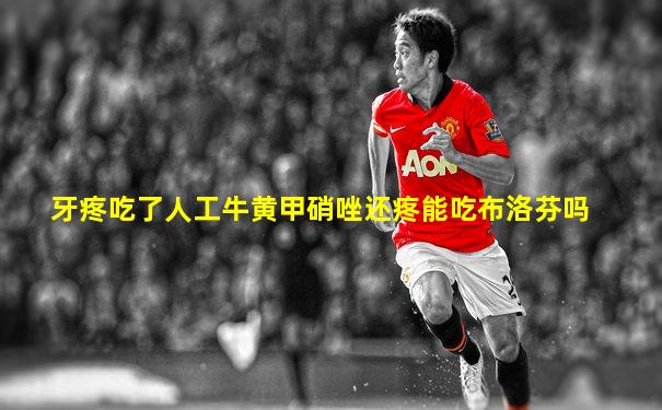 牙疼吃了人工牛黄甲硝唑还疼能吃布洛芬吗