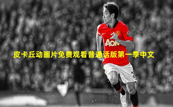 皮卡丘动画片免费观看普通话版第一季中文