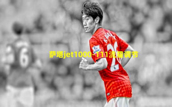 萨塔jet1000-111流量调节