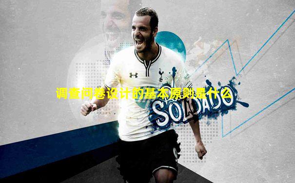 调查问卷设计的基本原则是什么