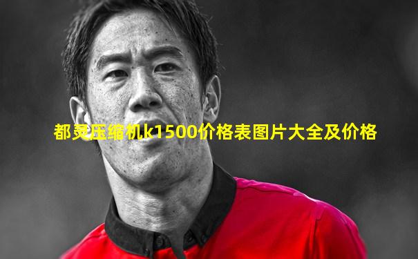 都灵压缩机k1500价格表图片大全及价格