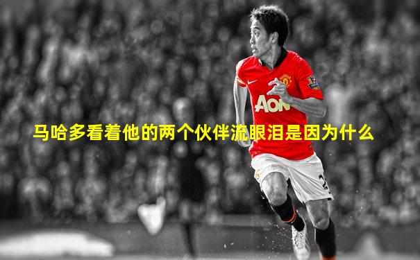 马哈多看着他的两个伙伴流眼泪是因为什么